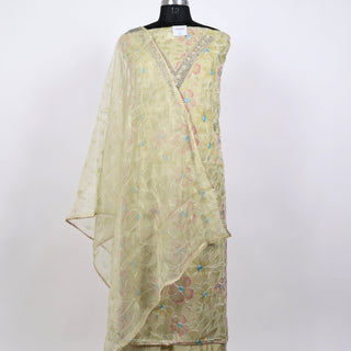 Light Green Party Wear Organza Suit fabric with Neck embroidery and dupatta